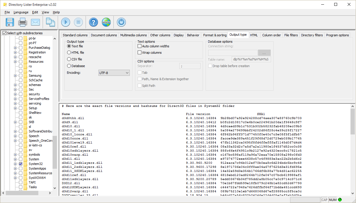 Directory Lister - Output type